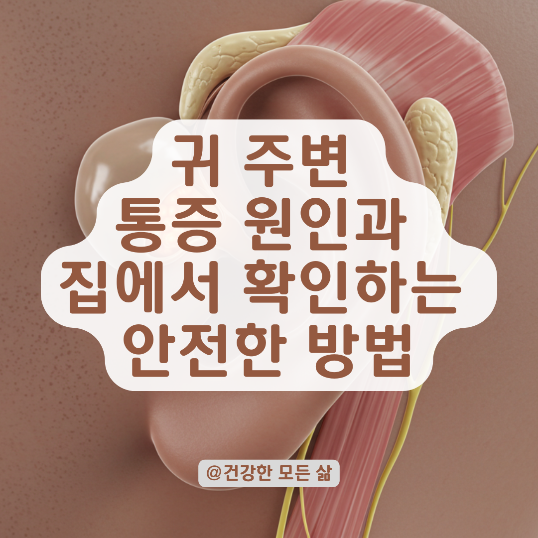 귀 주변 국소 통증 원인과 집에서 확인하는 방법.