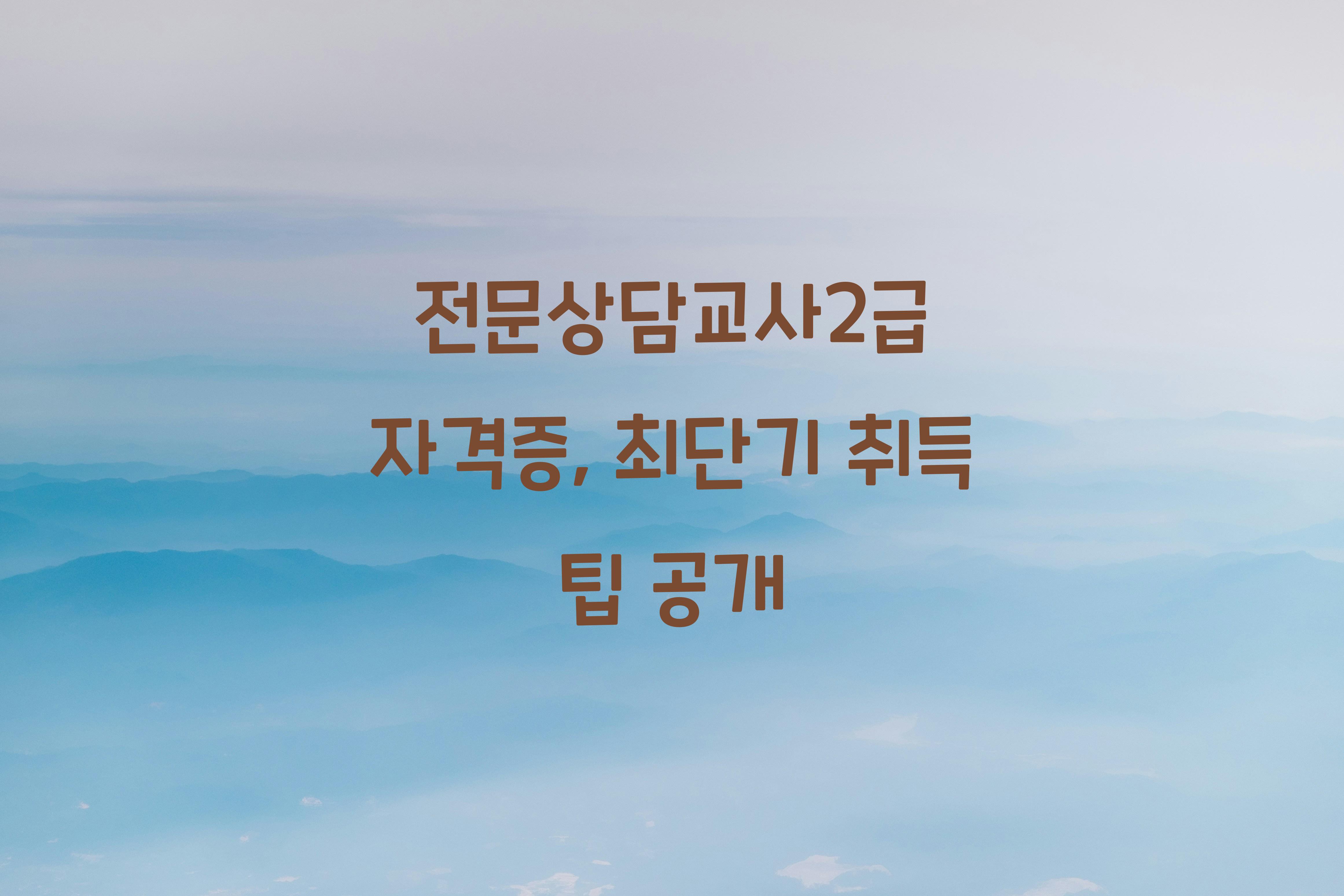 전문상담교사2급