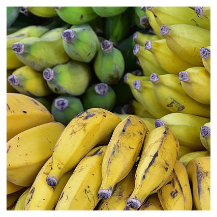 민생회복소비쿠폰 신청절차1