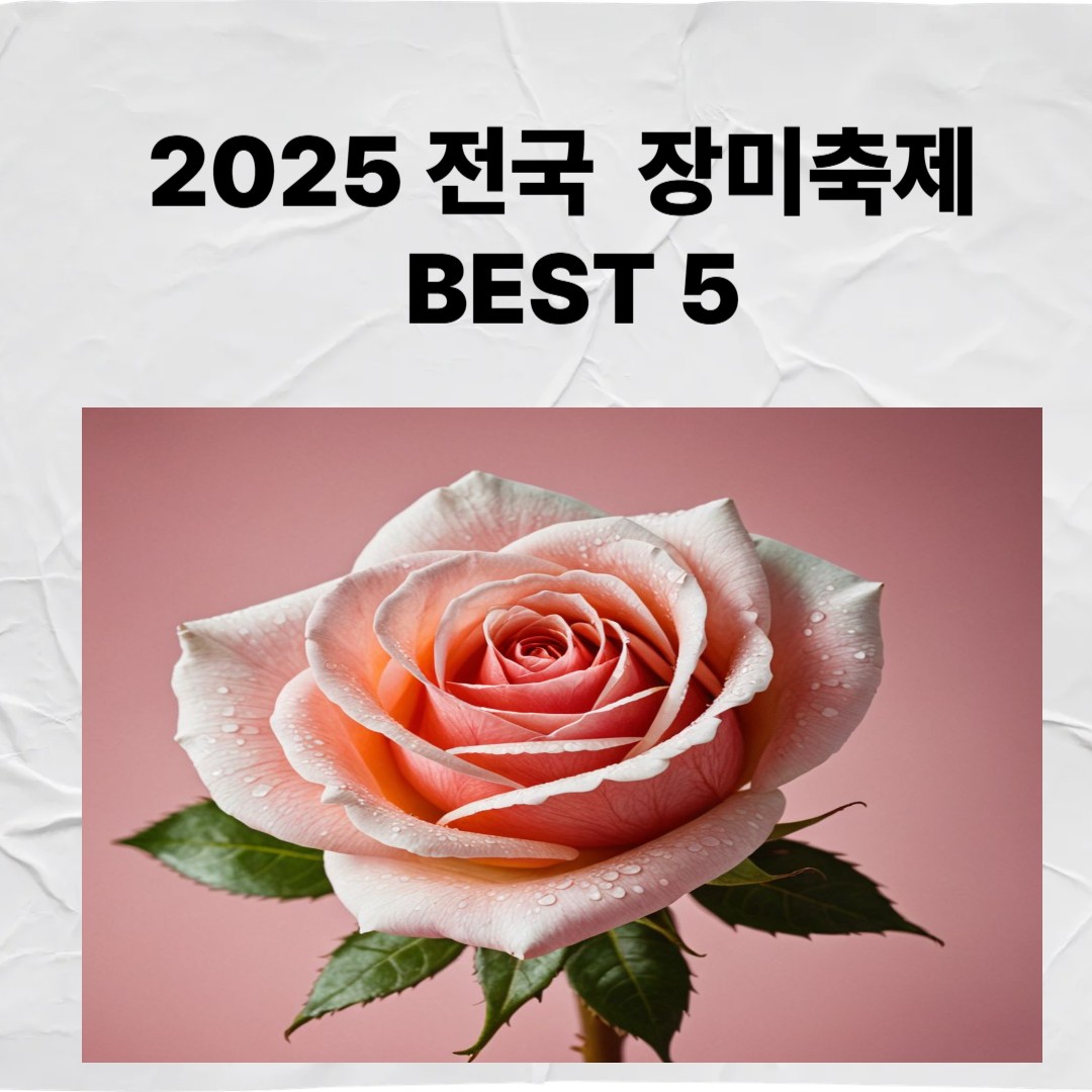 2025 전국 장미축제 BEST 5
