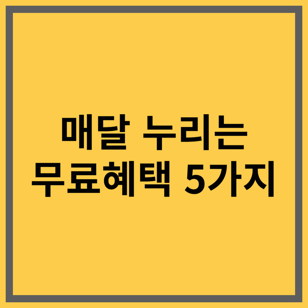 매달 무료로 누릴 수 있는 생활 혜택 5가지 정리