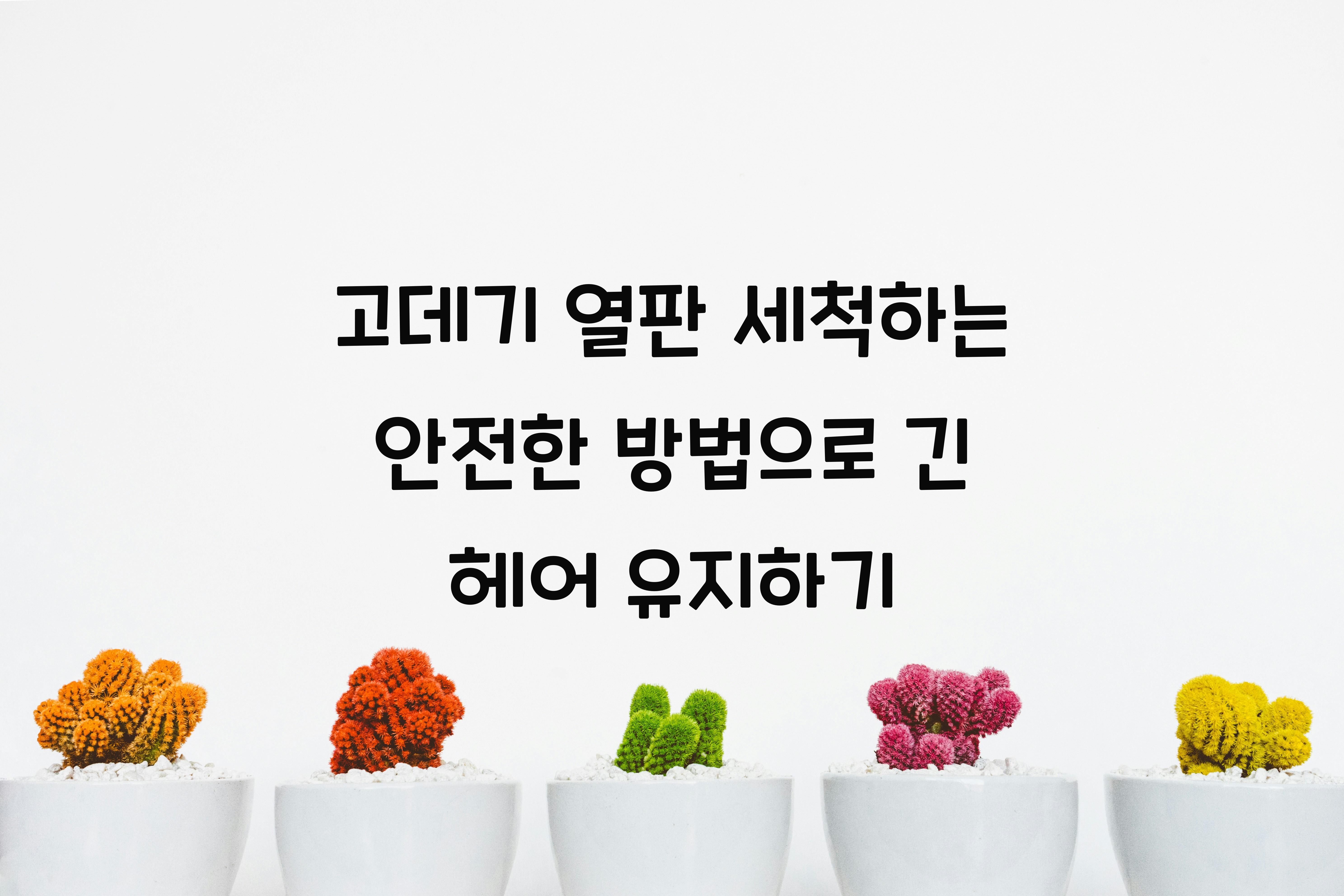 고데기 열판 세척하는 안전한 방법