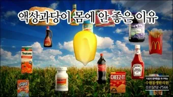 액상과당 종류 특싱 유해성 판단_14
