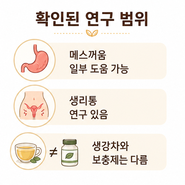 메스꺼움과 생리통 관련 연구 범위, 생강차와 생강 보충제의 차이를 보여주는 설명
