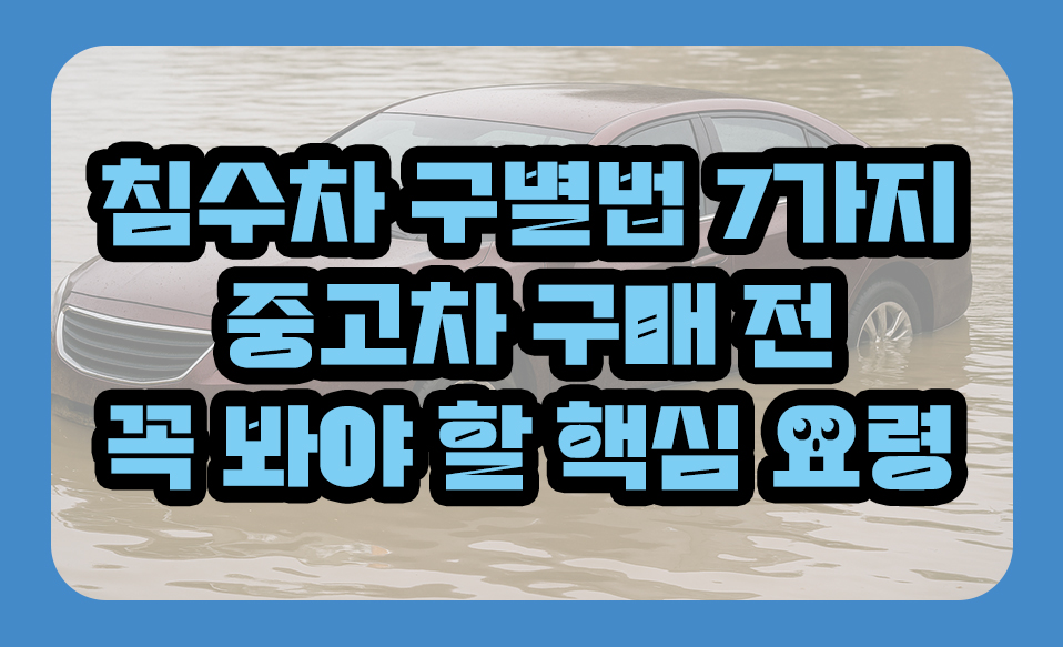 침수차 구별법 7가지