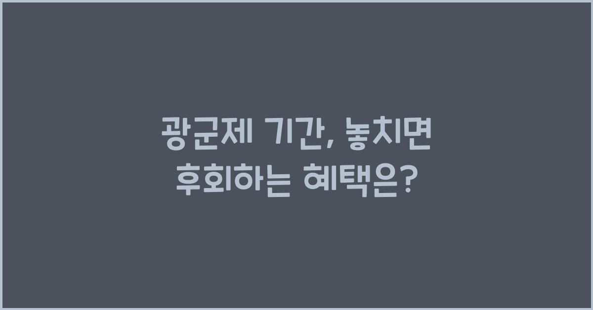 광군제 기간