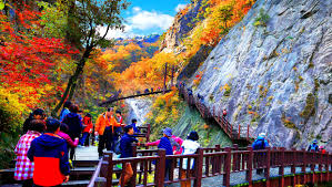 10월 1일 임시공휴일