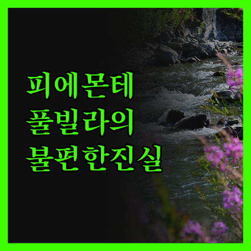 피에몬테 풀빌라의 진실! 럭셔리함 뒤