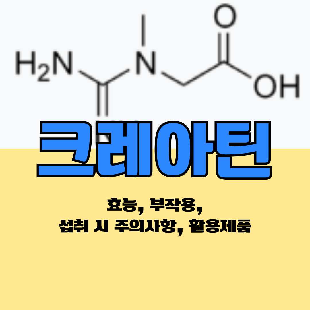 크레아틴 효능