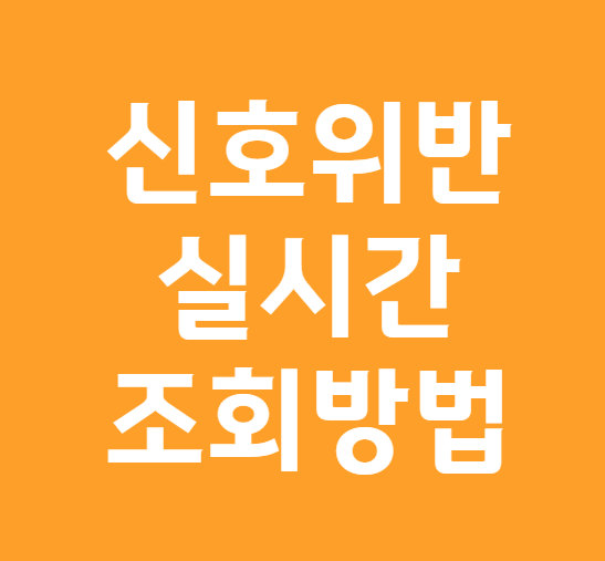 신호위반