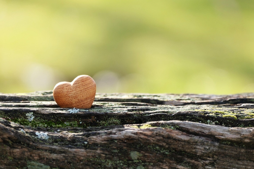 금연치료지원사업,국민건강증진종합계획의 금연치료