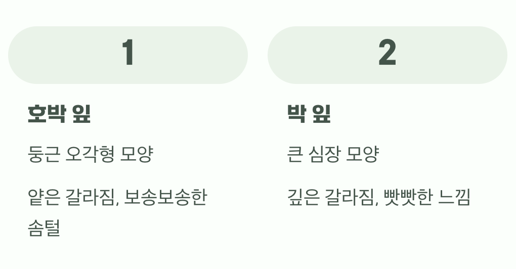 잎사귀로도 알 수 있어요