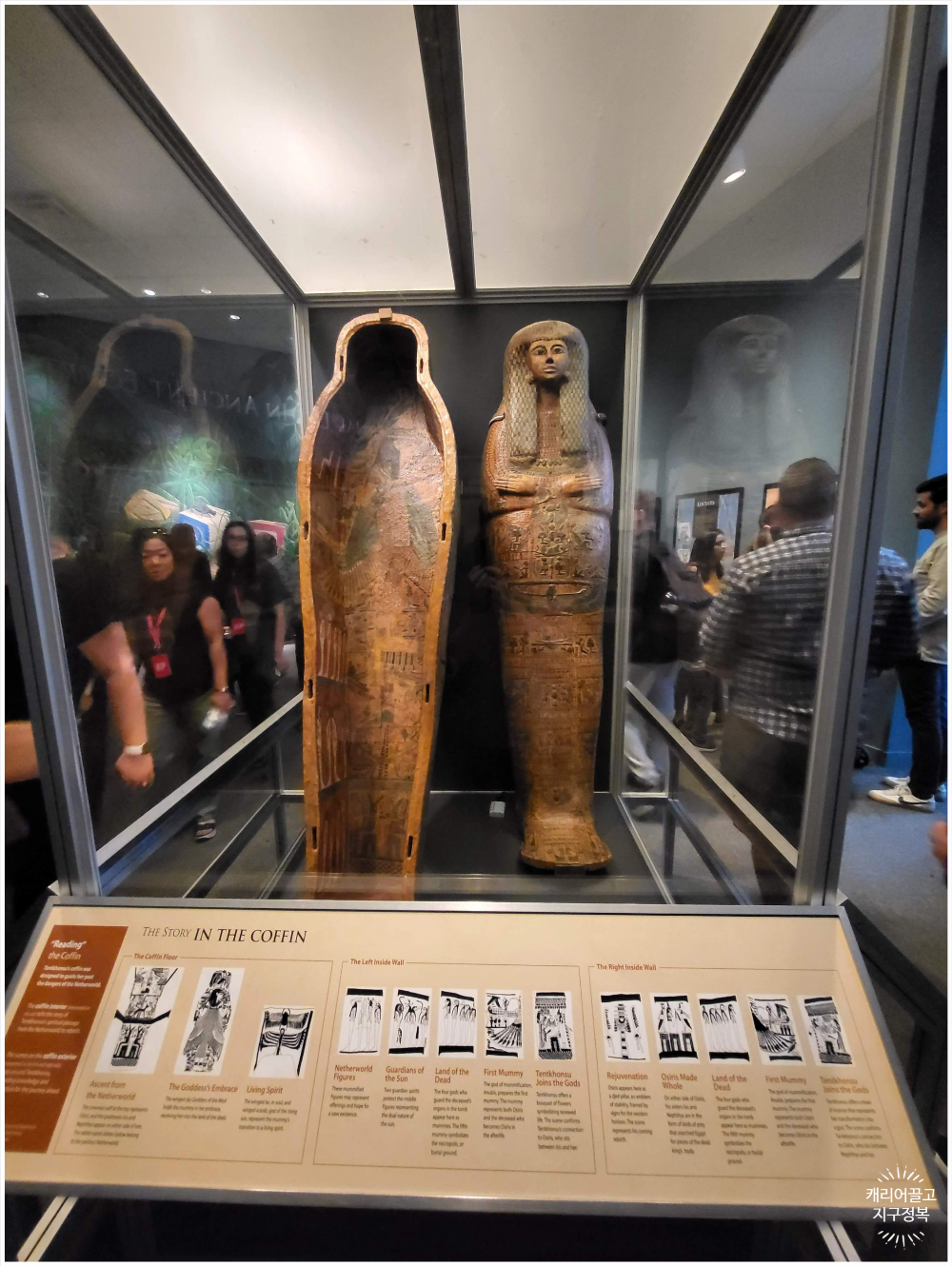 워싱턴 스미스소니언 국립 자연사 박물관