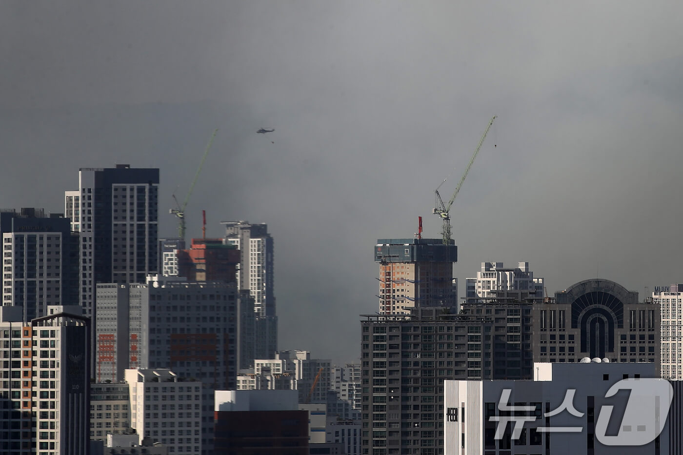 대구 함지산 산불 원인 실시간 상황 대피 주의사항