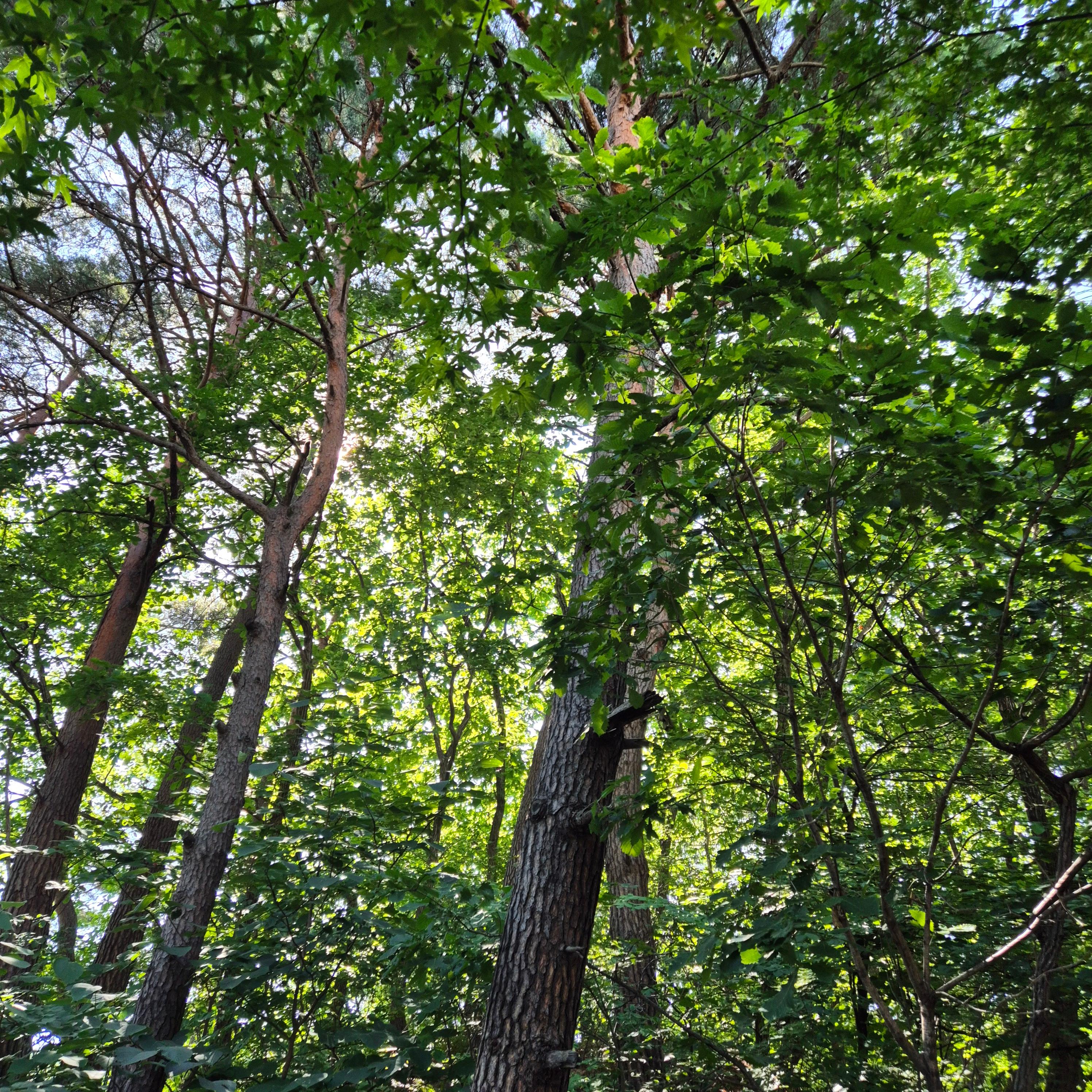 제천 가볼만한곳&amp;#44; 해브나인 스파&amp;#44; 해브나인스파&amp;#44; 제천포레스트&amp;#44; 온천&amp;#44; 노천탕&amp;#44; 인피니티풀&amp;#44; 스톤스파&amp;#44; 인생샷