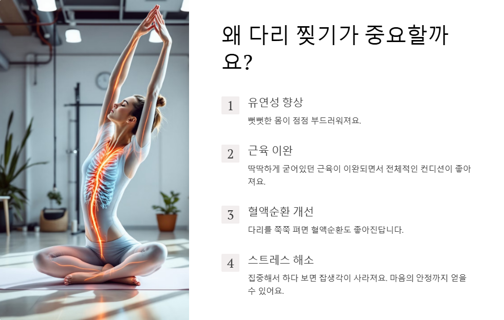 다리 찢기 연습 루틴 하루 5분 유연성