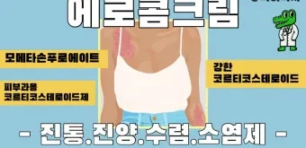 에로콤크림 코르티코이드 반응성 피부질환에서의 염증가려움 완화 전략에 대한 사용수칙_13