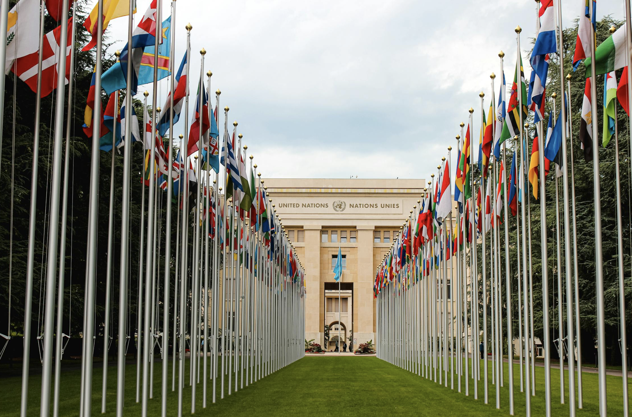 기후변화 국제기구 총정리: COP, IPCC, UNFCCC는 어떤 일을 할까?