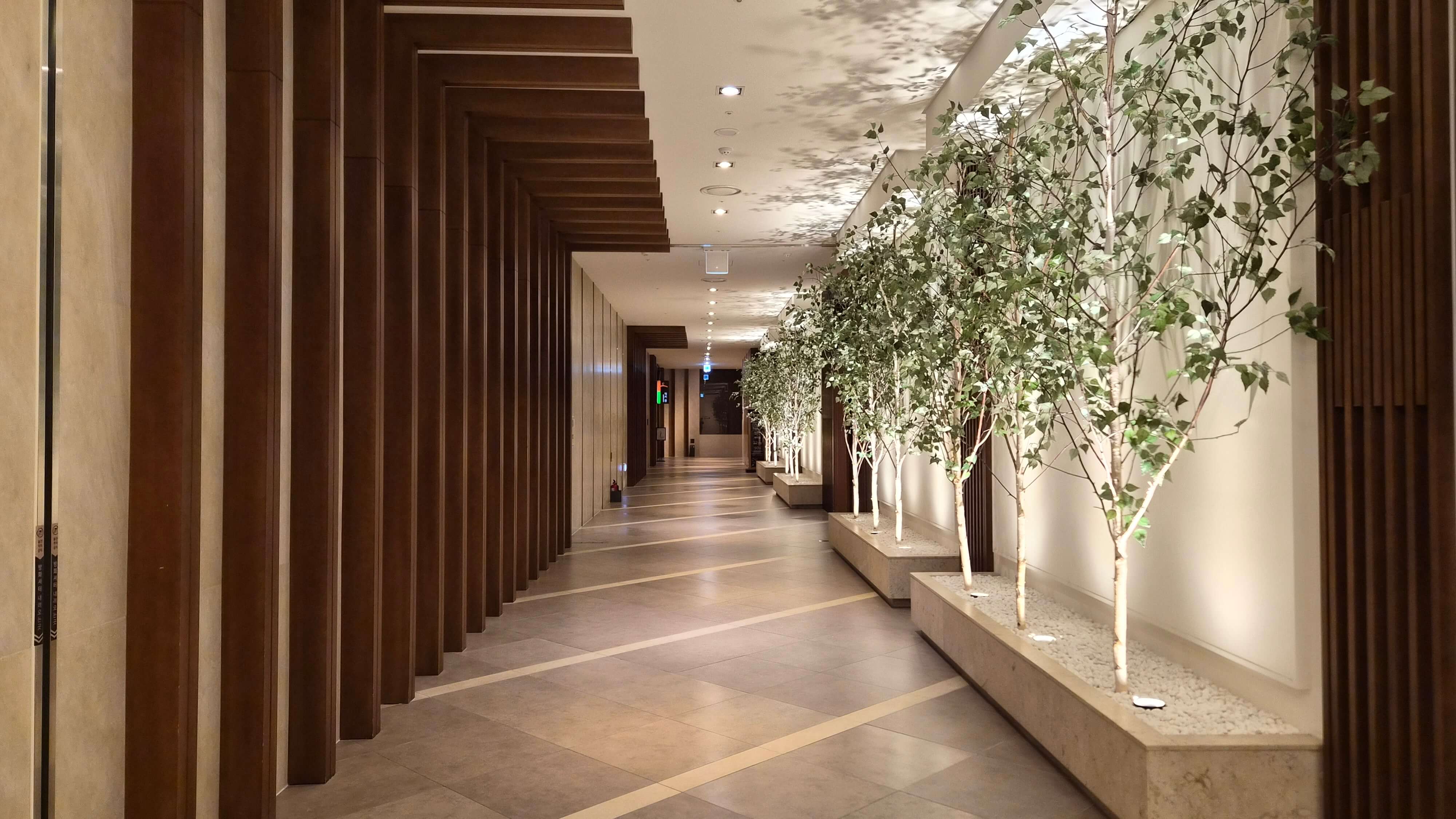 골프장 경험담 소노펠리체cc델피노 설악산 울산바위와 탁 뜨인 동해 바다 소나무가 멋진곳