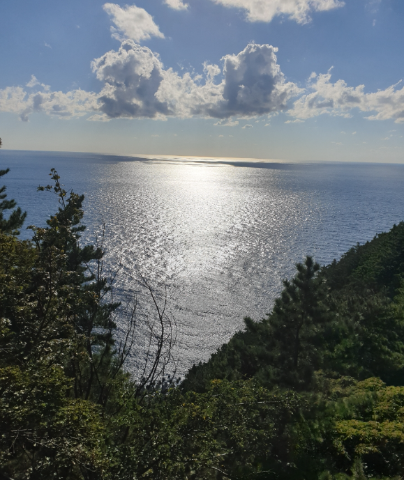 울릉도,독도여행