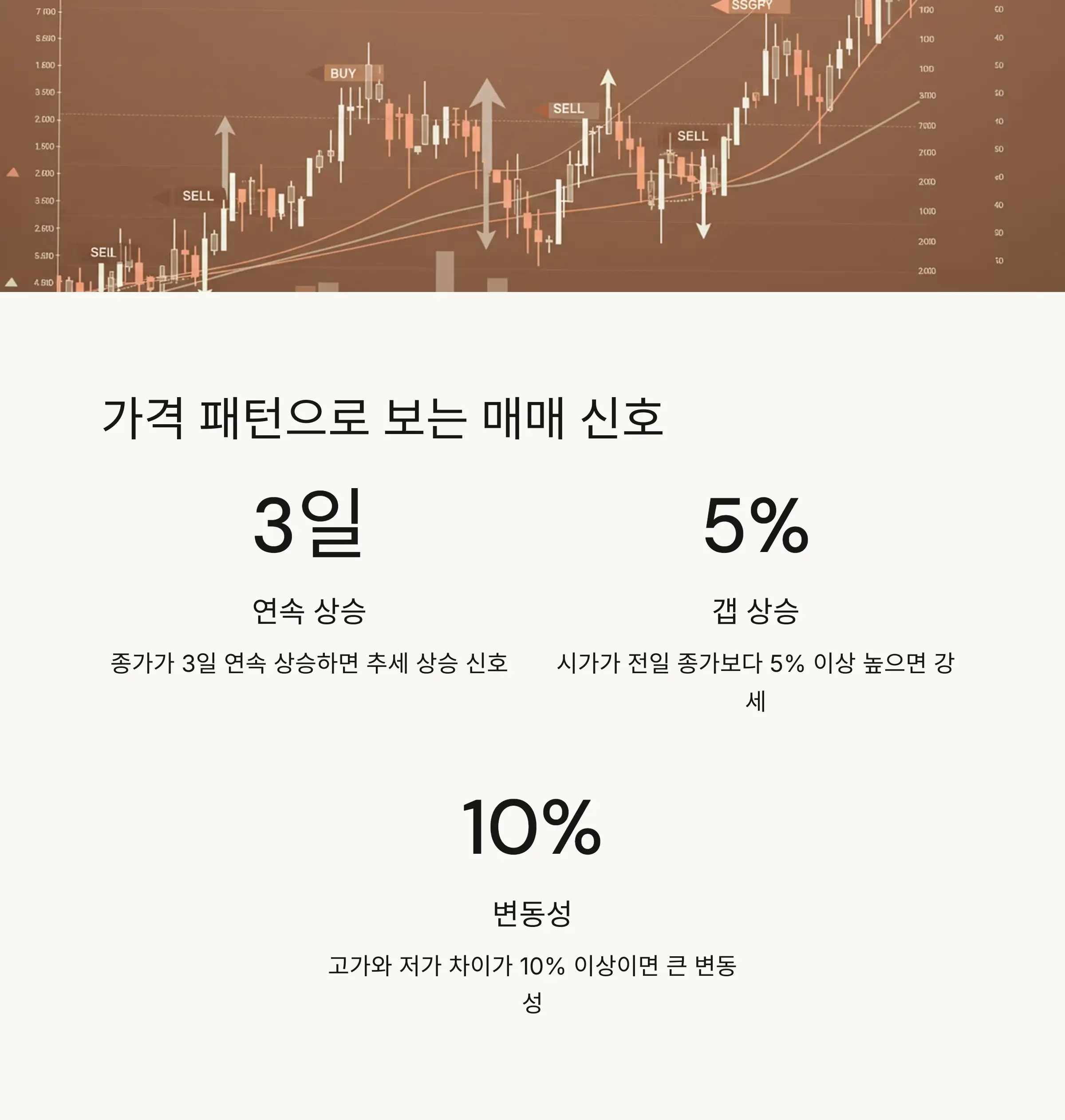 ⚡ 실전 투자 전략과 팁
