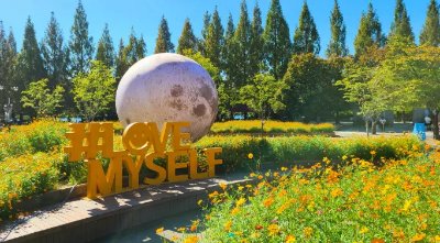 고양 가을꽃축제