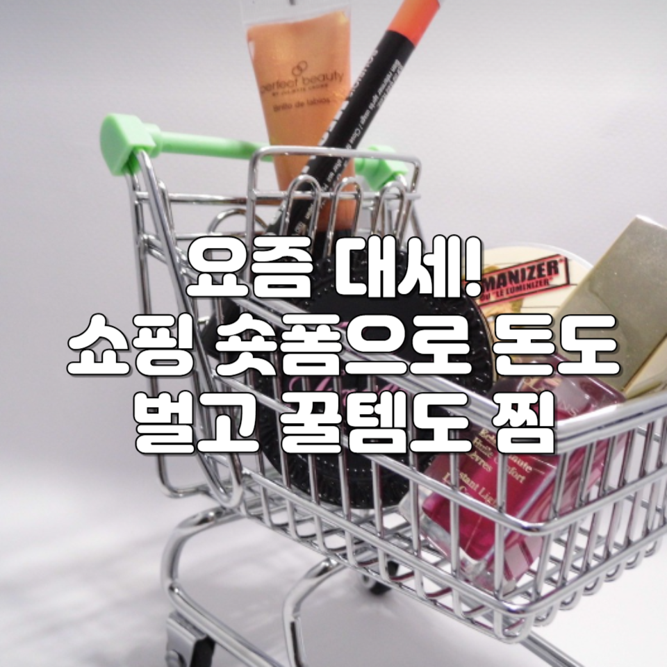 쇼핑 숏폼
