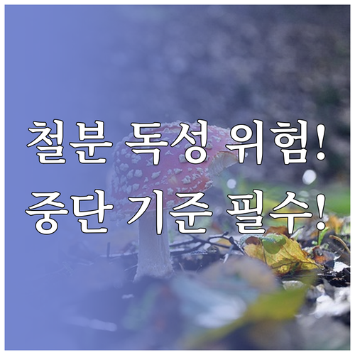 철분 과다 복용 위험성 약물 상호작용..