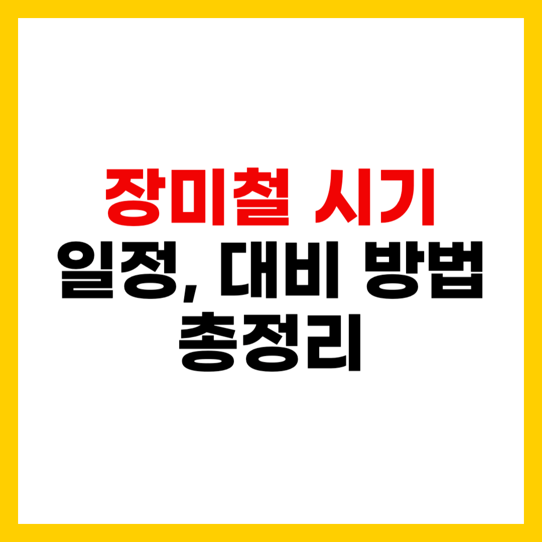 2025년 장마철 시작 시기 지역별 예상 일정 대비 방법 총정리