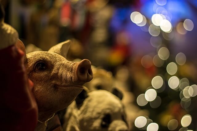 2024년 신년운세 돼지띠 3월 할만한데?