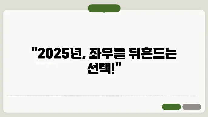 2025년 대통령 선거 전망