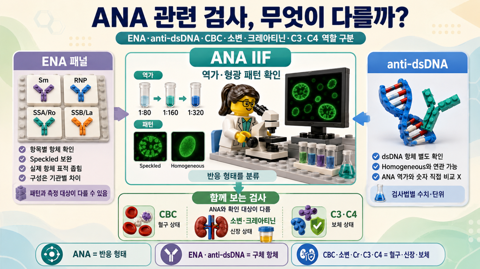 ANA와 ENA, anti-dsDNA, CBC, 소변검사, 크레아티닌, C3&middot;C4의 역할 차이를 비교한 레고 스타일 인포그래픽