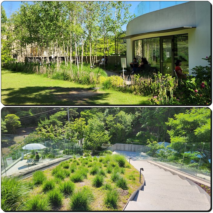 모아니까페-외부모습-풍경4