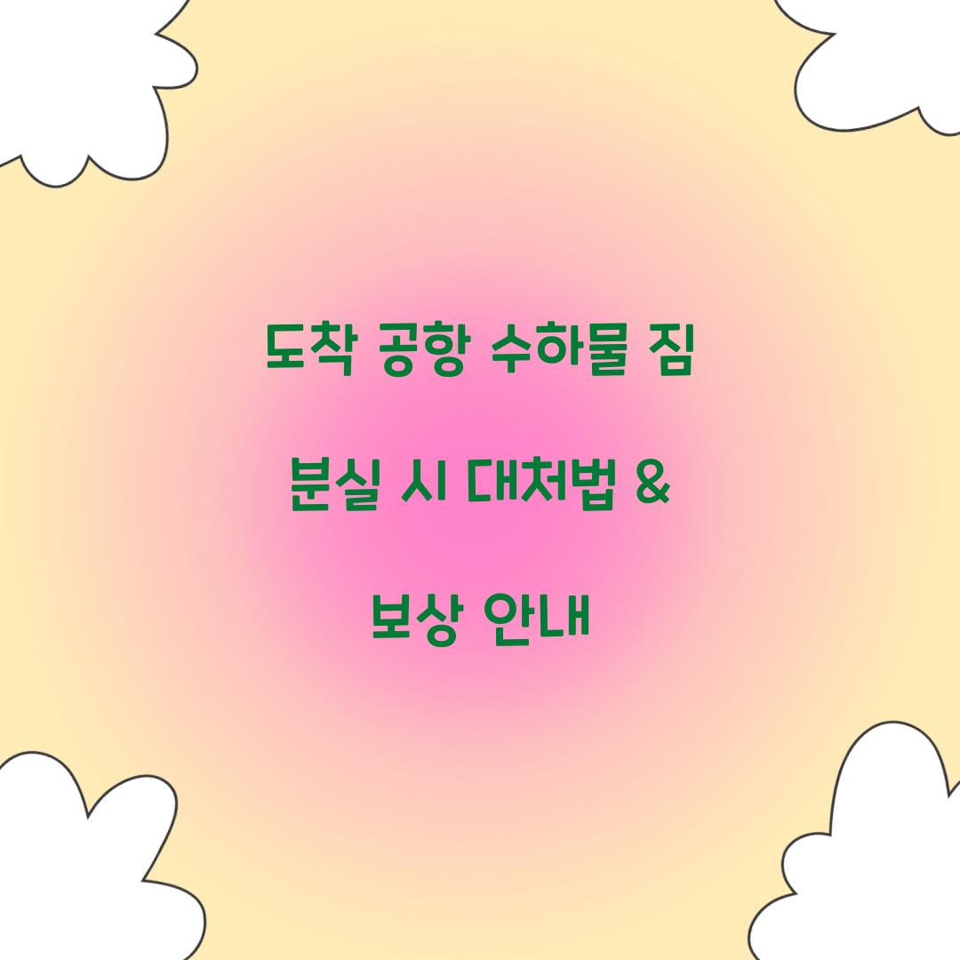 도착 공항 수하물 짐 분실