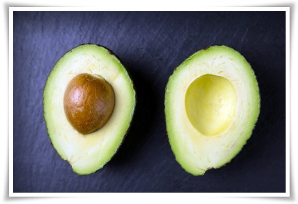 정원 "아보카도 키우기" 씨앗 하나로 나만의 초록 오아시스!