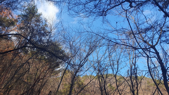 하늘