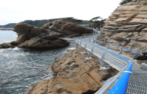 가을 바다 열차 여행 추천