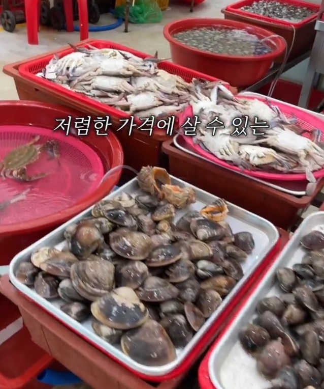 백반기행-서천-태진아