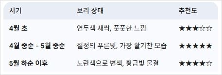 보리상태에-따른-방문시기-추천