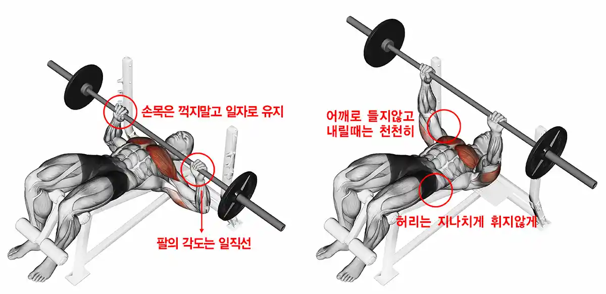 벤치프레스-남자운동-일러스트그림-운동자세