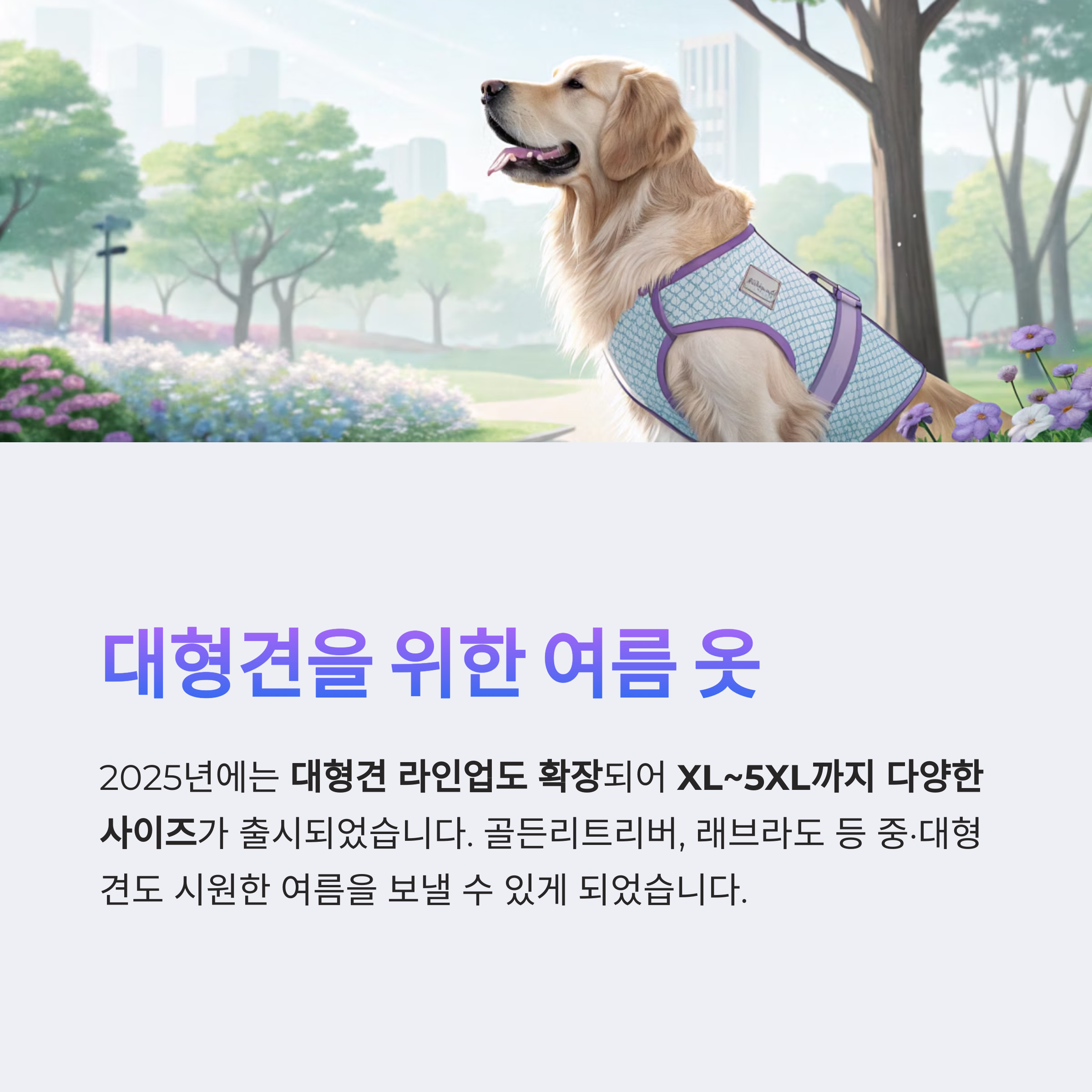 대형견을 위한 여름 옷