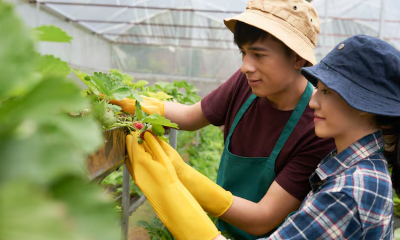 경기도 농어민 기회소득