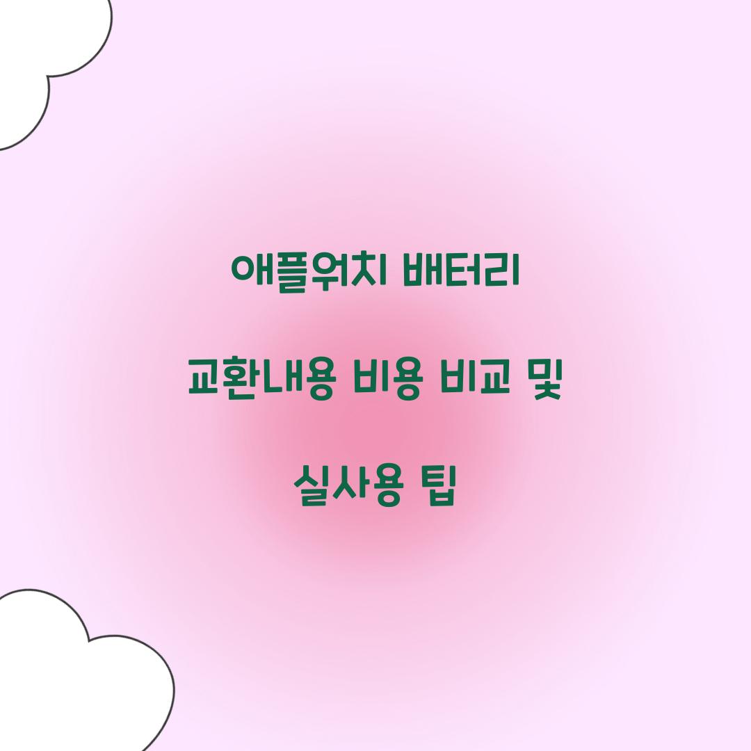 애플워치 배터리 교환내용