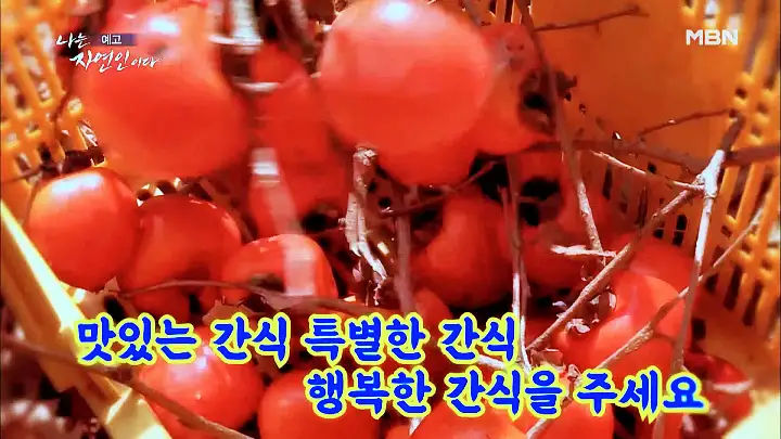 나는 자연인이다 엄마의 이름으로 자연인 김정예 소개 및 윤택 출연 531회 다시보기