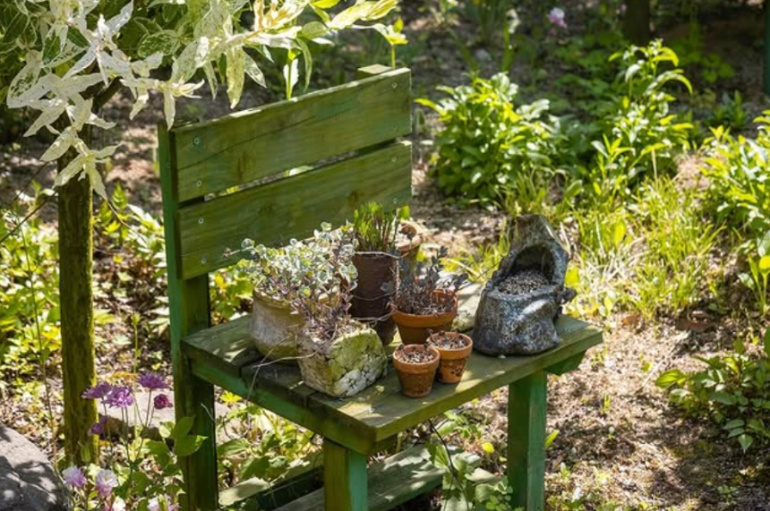 특색있고 아름다운 민간 정원 30선 추천 여행 - 11. 경주 야생화일기 정원