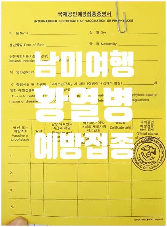 남미 황열병 예방접종 후기 경험과 준비사항_15