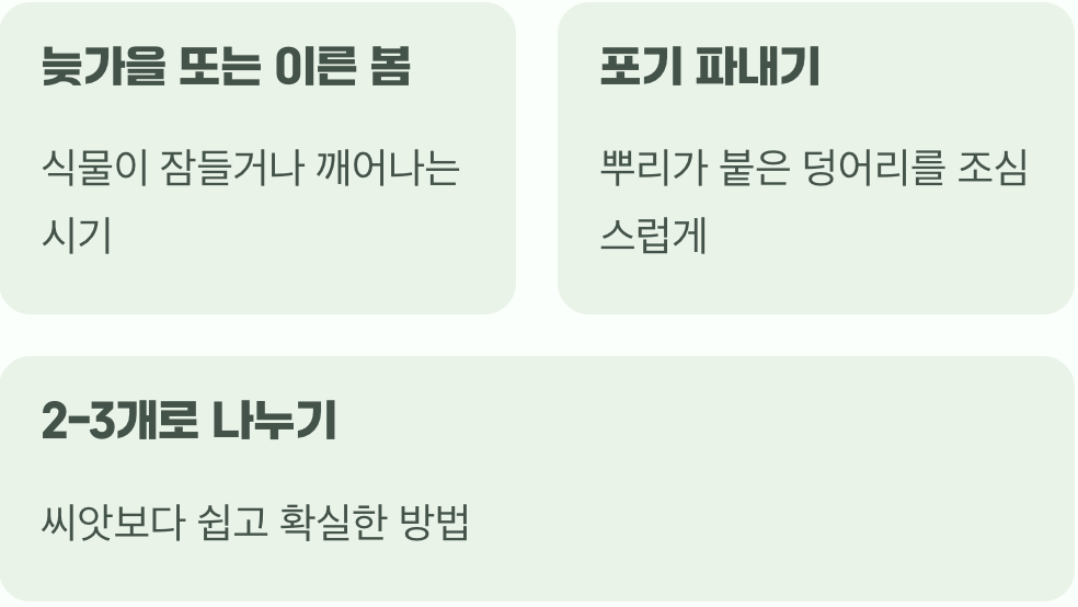 비결 4. 번식의 즐거움, '포기나누기'