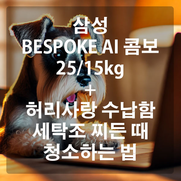 삼성 BESPOKE AI 콤보 25/15kg 세탁기 + 허리사랑 수납함 세탁조 찌든 때 청소하는 법