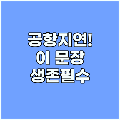 공항 위기 상황 탈출법 비행 지연 시..