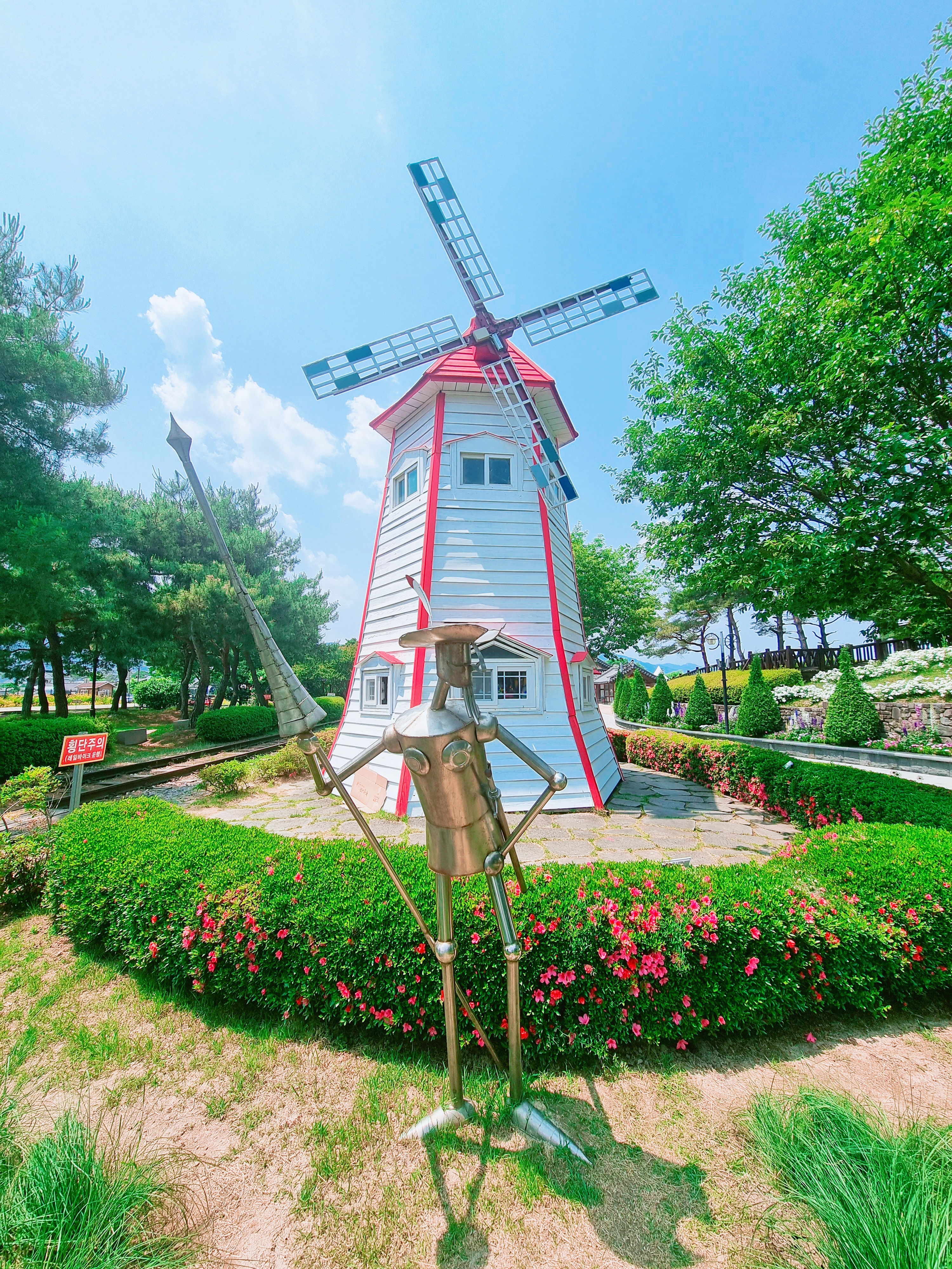 곡성 기차마을 장미공원 사진